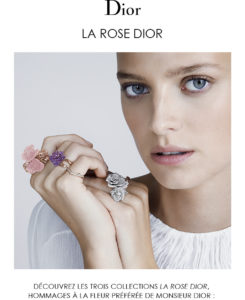 La Rose Dior, nouvelles interprétations poétiques