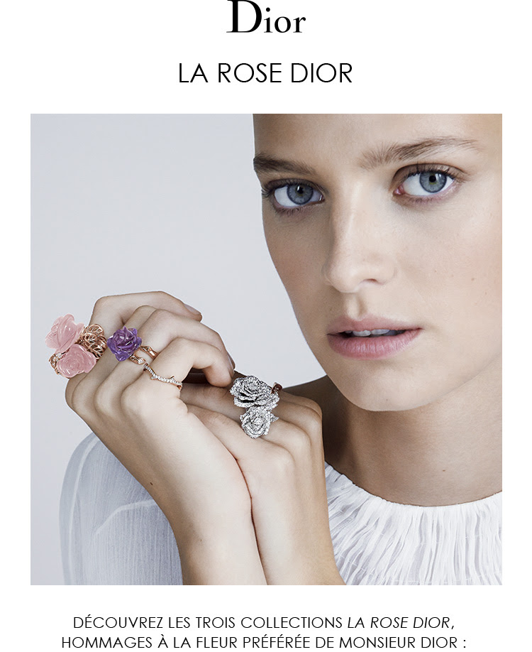 You are currently viewing La Rose Dior, nouvelles interprétations poétiques