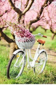 PRINTEMPS 2017 – MES 10 RESOLUTIONS