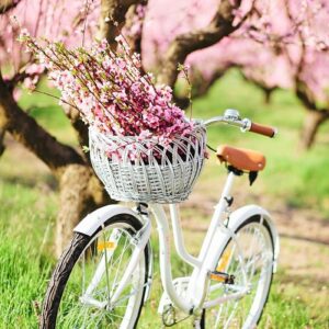 PRINTEMPS 2017 MES 10 RESOLUTIONS