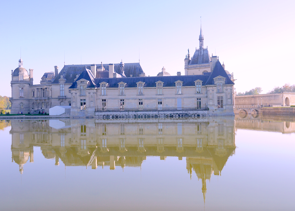 You are currently viewing LES JOURNEES DES PLANTES AU DOMAINE DE CHANTILLY : LES PEPINIERES ET ROSERAIES GEORGES DELBARD