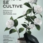 Jardin des Plantes : exposition Chanel « La Beauté se cultive »
