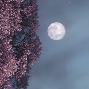 La Pleine Lune en Verseau du 24 juillet - J’ose accepter le changement avec Liberté