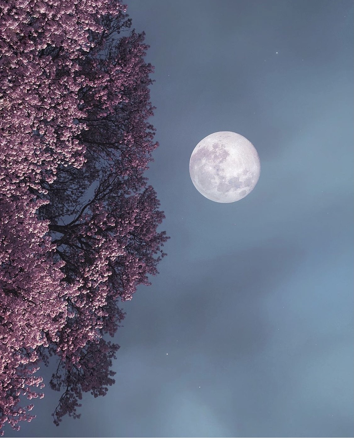 La Pleine Lune en Verseau du 24 juillet : J’ose accepter le changement avec Liberté