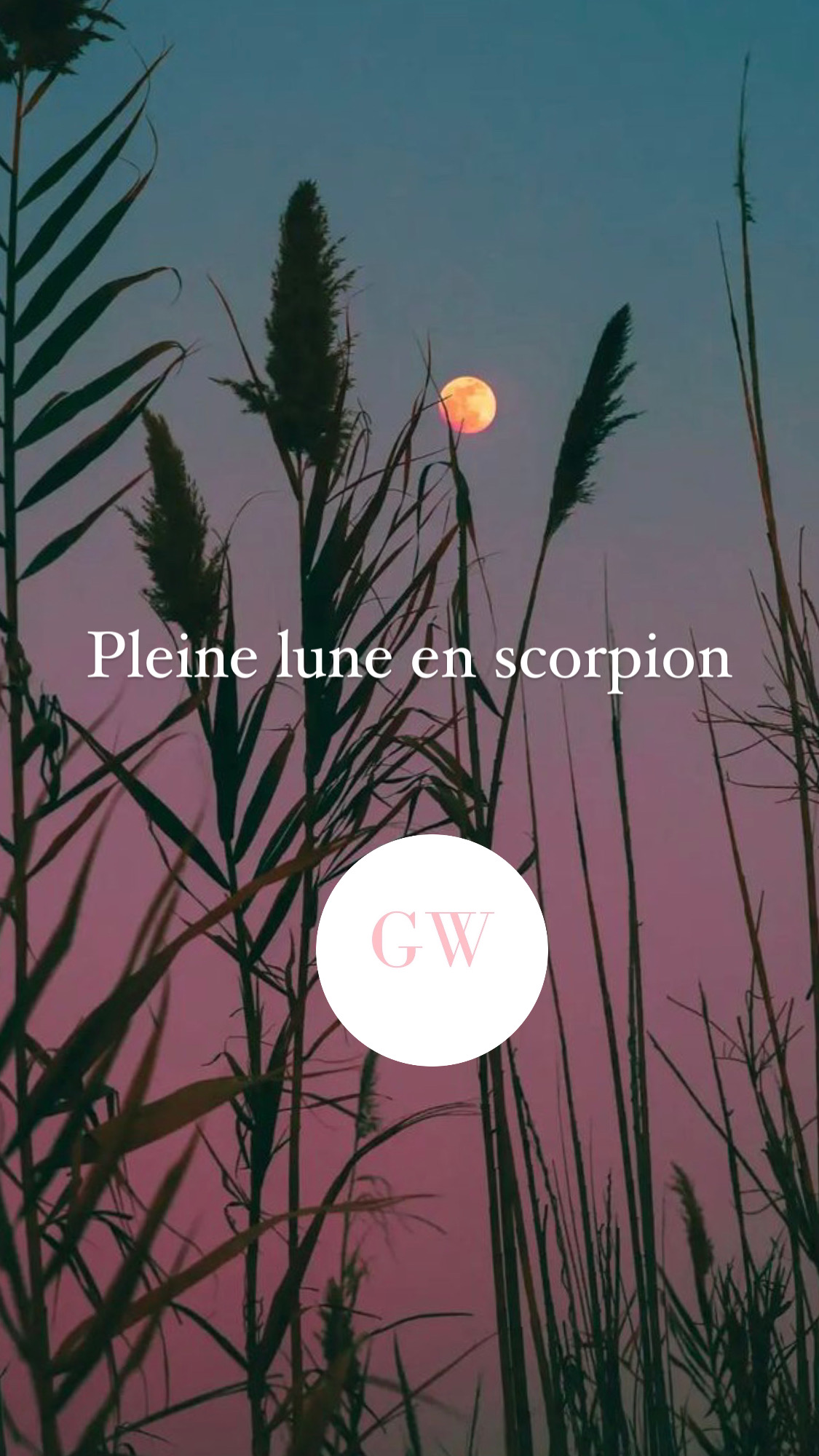 Guidance Pleine en Scorpion : Super Lune des fleurs