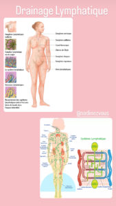 Lire la suite à propos de l’article Stimulation lymphatique du corps c’est quoi ?