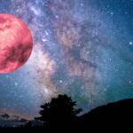 Cette pleine lune, nous invite à célébrer la dernière lunaison du printemps : la pleine lune des fraises en Sagittaire. Ce moment cosmique réveille notre curiosité, notre envie d’avancer, de casser des schémas et de manifester une vie plus vaste, plus libre