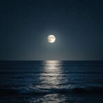 Après la Pleine Lune en Poissons et son grand nettoyage intérieur, place à la clarté et à l’organisation. Cette semaine, l’énergie de la Vierge nous guide vers plus de structure et d’alignement