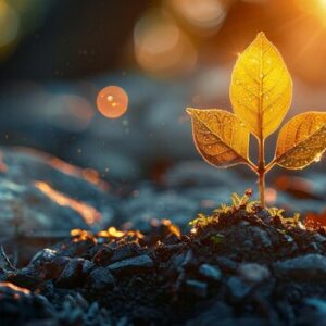 Découvrez pourquoi chaque jour est une nouvelle chance d’avancer avec le cœur. Un épisode du podcast Nadinezvous pour se reconnecter à soi, respirer et accueillir le renouveau.