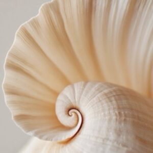 Énergies de la semaine (15–21 septembre) Cette semaine, l’univers nous souffle : chaque jour est une chance de recommencer.