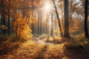 énergies semaine 22 au 28 septembre, horoscope énergétique, guidance spirituelle, nouvelle lune automne, lâcher-prise, intentions.