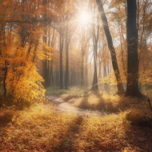 énergies semaine 22 au 28 septembre, horoscope énergétique, guidance spirituelle, nouvelle lune automne, lâcher-prise, intentions.