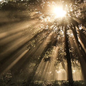 Cette semaine, du 29 septembre au 5 octobre, les énergies nous invitent à ralentir, à clarifier et à revenir à l’essentiel.