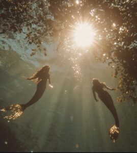 Pleine Lune en Poissons (Lune de Sang) – Découvrez les énergies, les signes astrologiques impactés, et une guidance spirituelle autour de l’intuition, du pardon et de la guérison. Écoutez l’épisode du podcast Entre-Nadinezvous.