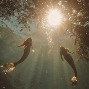 Pleine Lune en Poissons (Lune de Sang) – Découvrez les énergies, les signes astrologiques impactés, et une guidance spirituelle autour de l’intuition, du pardon et de la guérison. Écoutez l’épisode du podcast Entre-Nadinezvous.