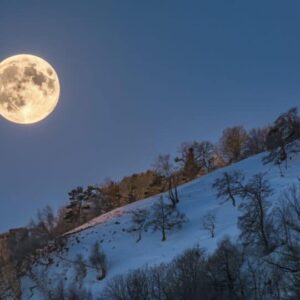 Le 1er février, la pleine lune des neiges, pleine lune illumine dans le signe du Lion, créant une alchimie puissante avec l'ère du Verseau