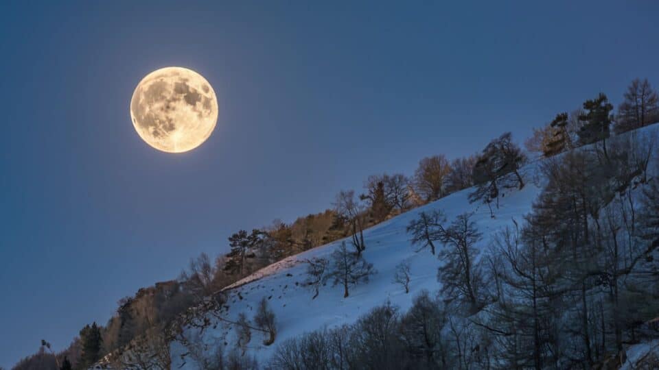 Le 1er février, la pleine lune des neiges, pleine lune illumine dans le signe du Lion, créant une alchimie puissante avec l'ère du Verseau