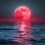 Pleine Lune en Capricorne : reculer pour mieux te voir