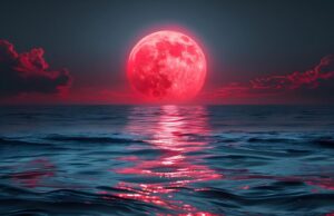 Pleine Lune en Capricorne : reculer pour mieux te voir